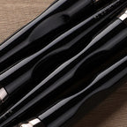 Black Swan Series - 21pcs Professional Makeup Brush Set