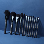12 Pcs Zodiac Makeup Brush Set