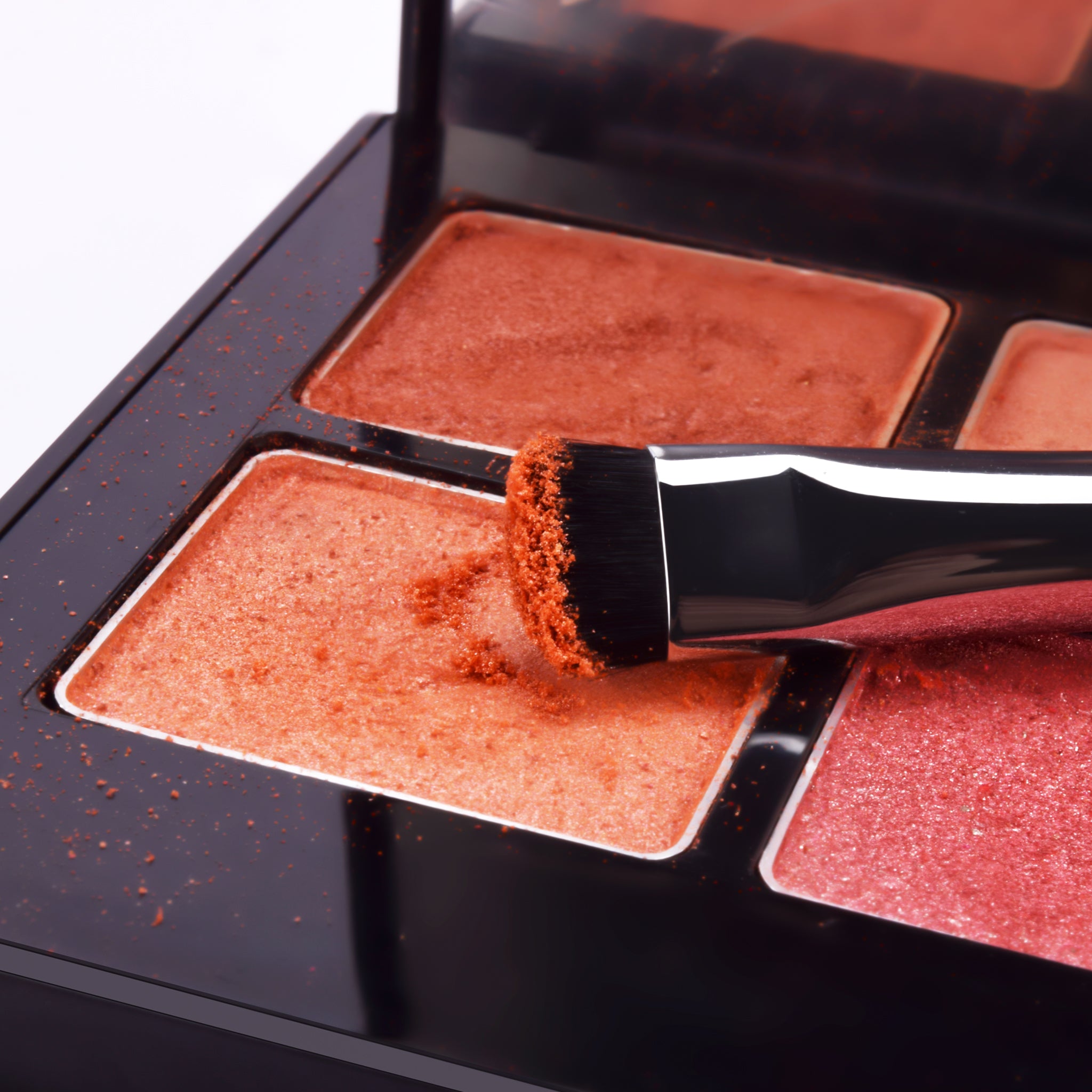 E806 SHORT SHADER BRUSH